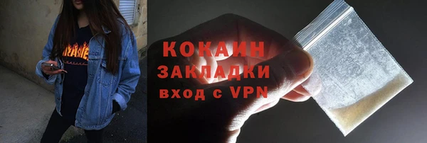 молекула духа Алексин