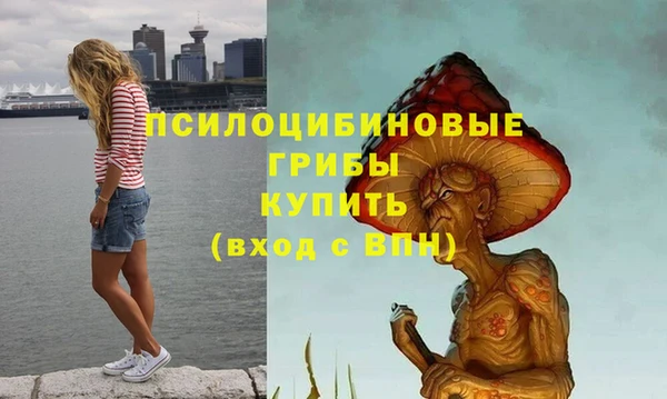 эйфоретик Алексеевка