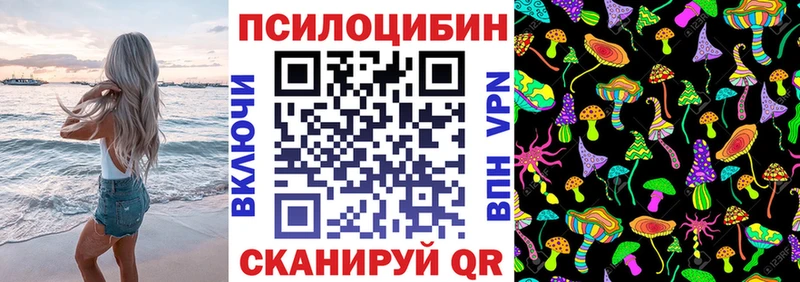 Галлюциногенные грибы Cubensis Грязи